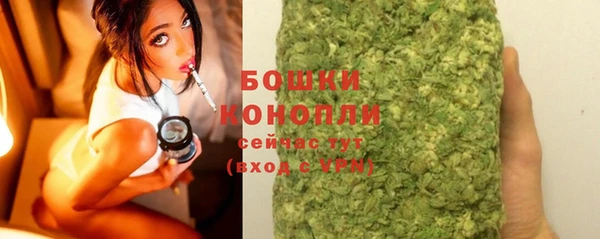 ГАЛЛЮЦИНОГЕННЫЕ ГРИБЫ Дегтярск