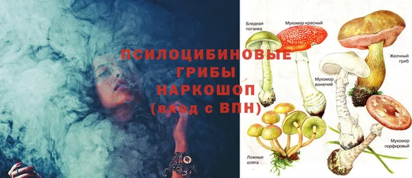 ГАЛЛЮЦИНОГЕННЫЕ ГРИБЫ Дегтярск