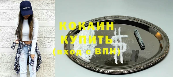ГАЛЛЮЦИНОГЕННЫЕ ГРИБЫ Дегтярск